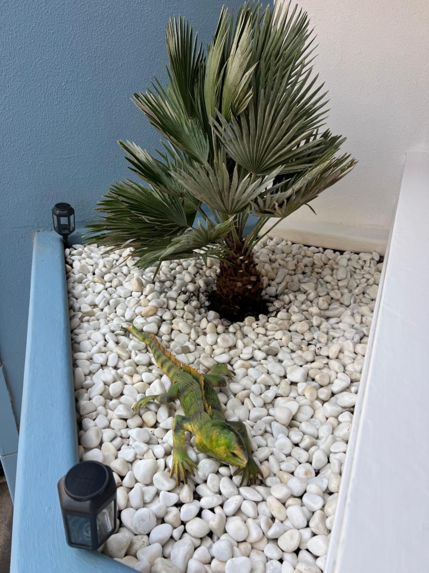 Air Conditioning, Private Parking And Fully Equipped Kitchen In Hotel Room In Golf Del Sur, Tenerife San Miguel de Abona Exteriér fotografie